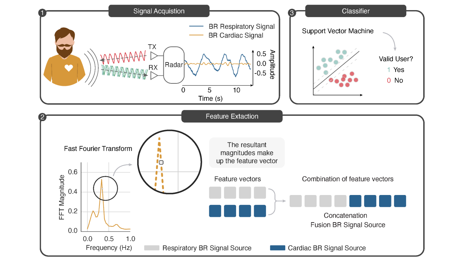 Radar-Based Invisible Biometric Authentication