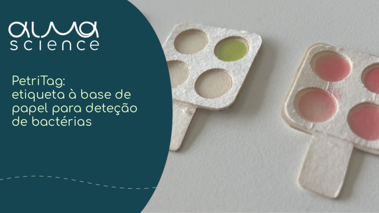 PetriTag®: a etiqueta sustentável à base de papel para deteção de bactérias no sistema de transporte de peixe