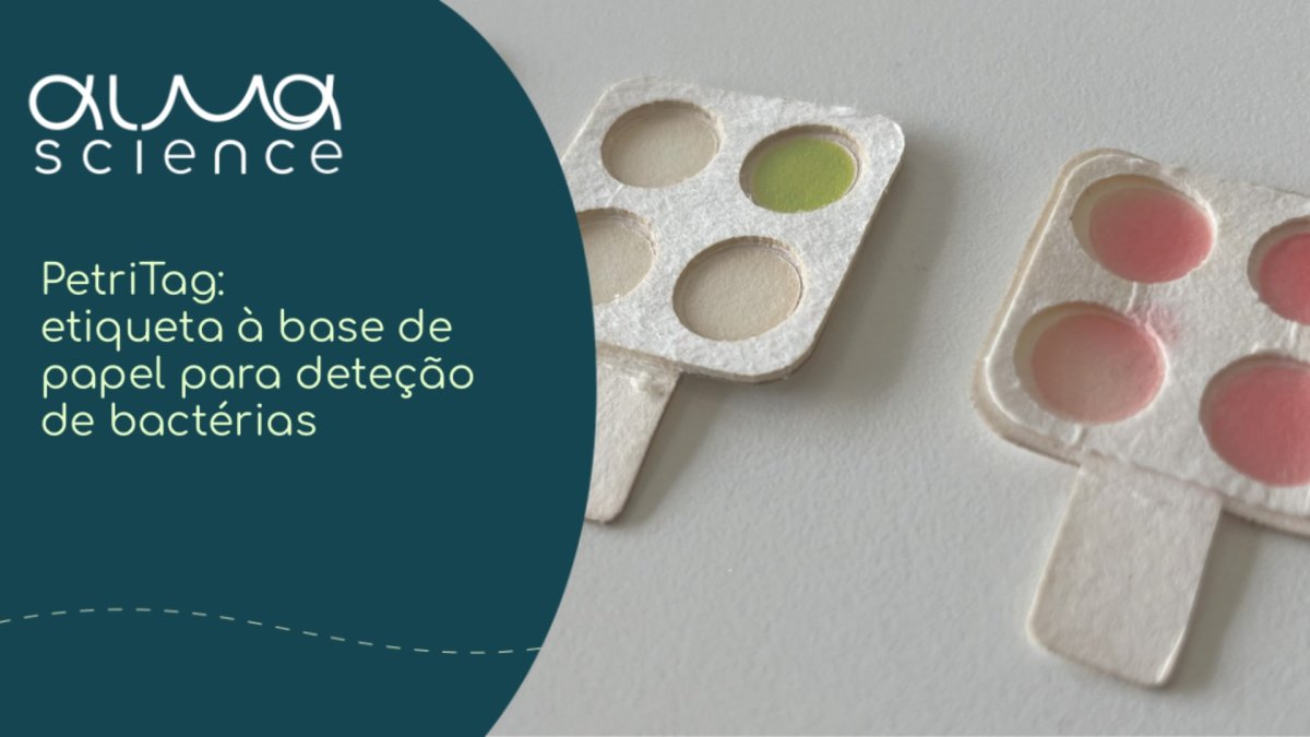 PetriTag®: a etiqueta sustentável à base de papel para deteção de bactérias no sistema de transporte de peixe